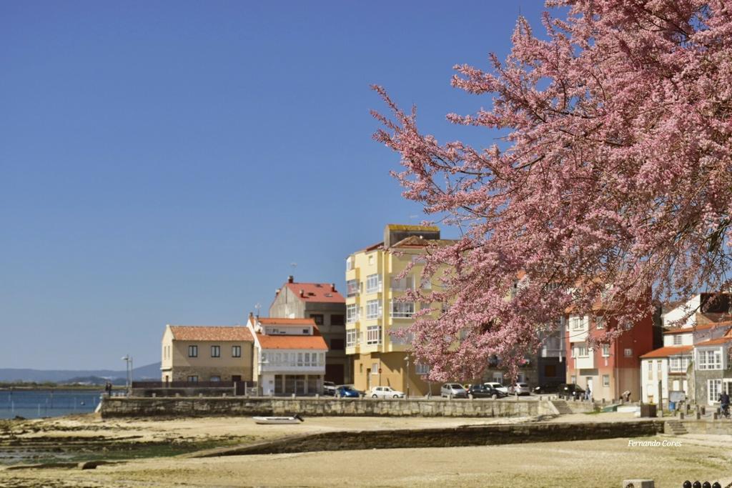 A Esmorga-Posada Del Mar Vilagarcía de Arousa Extérieur photo
